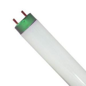 מנורה T8 כחול 10W