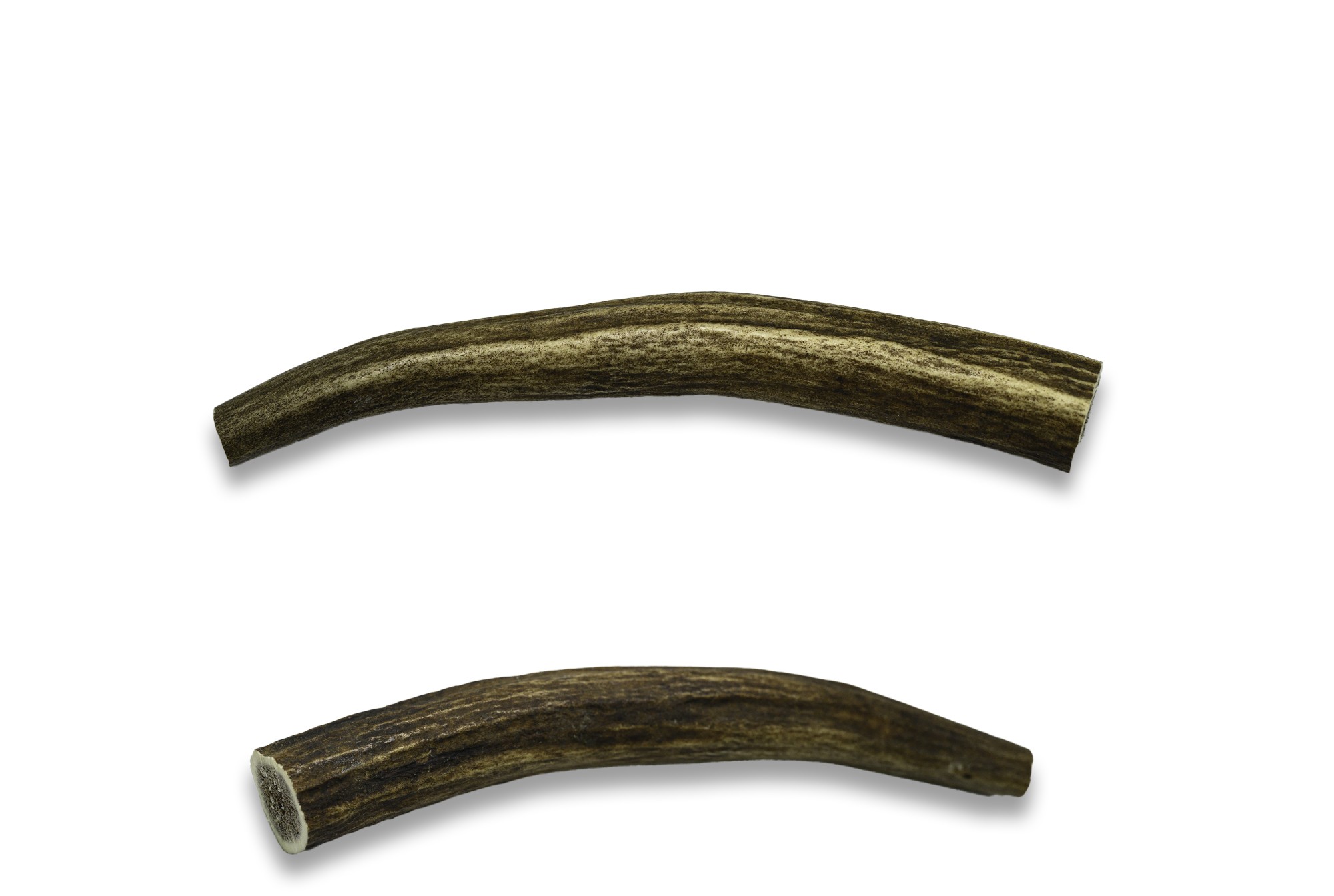 ae996510a7d81b4c54ce477cd09545f5.jpg קרן איל אדום XS 30-50 גרם – תמונה 1